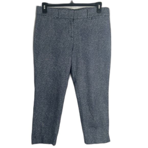 Ann Taylor Loft The Riviera Chino Trouser Pant Marisa Fit Blue White Sz 10P - Picture 1 of 10
